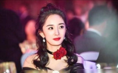 张雨绮爆料娱乐圈的事件,揭秘明星背后的真实故事